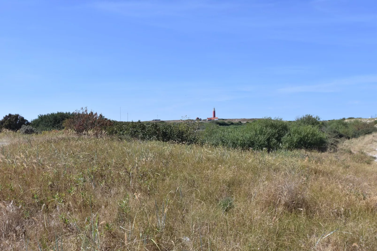 De  Koog  nr 3 - 6 pers woning de luxe-Gebieden zomer 5km