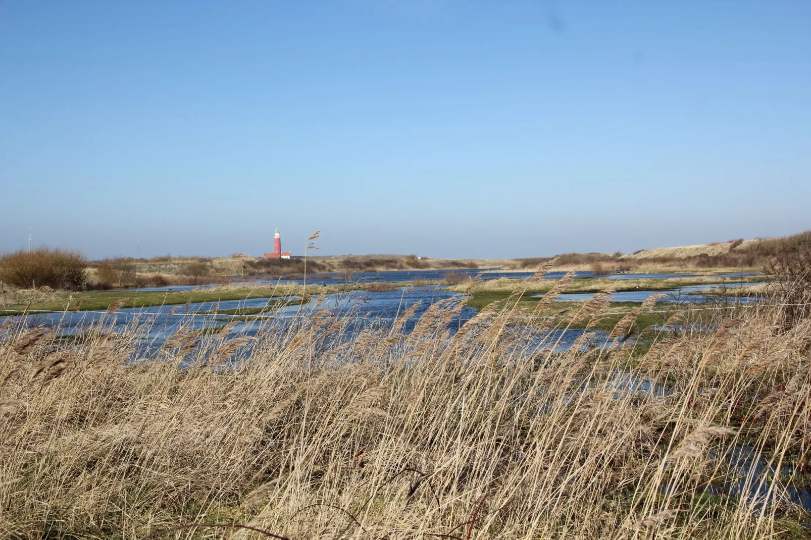 De Koog  nr 4 - 6 pers woning de luxe-Gebieden zomer 5km