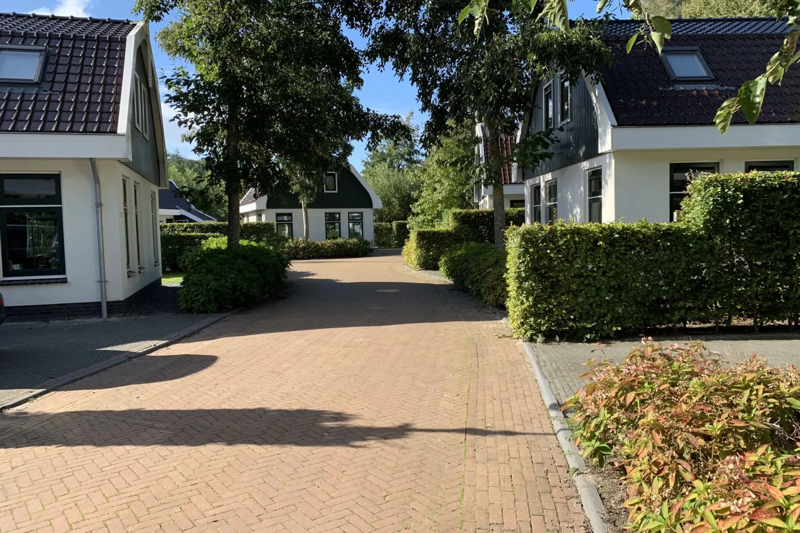 Resort Koningshof 5-Buitenkant zomer