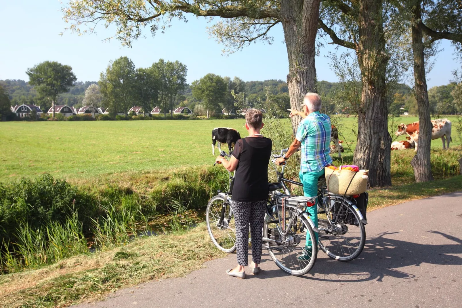 Resort Koningshof 7-Gebieden zomer 1km