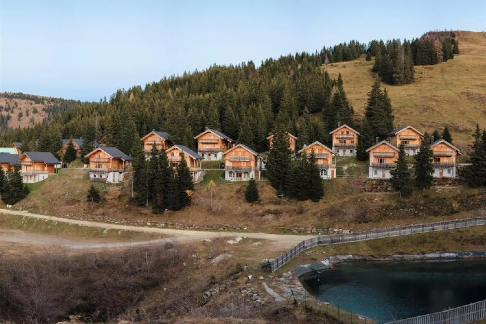 Koralpe - Enzian/Almrausch-Gebieden zomer 1km