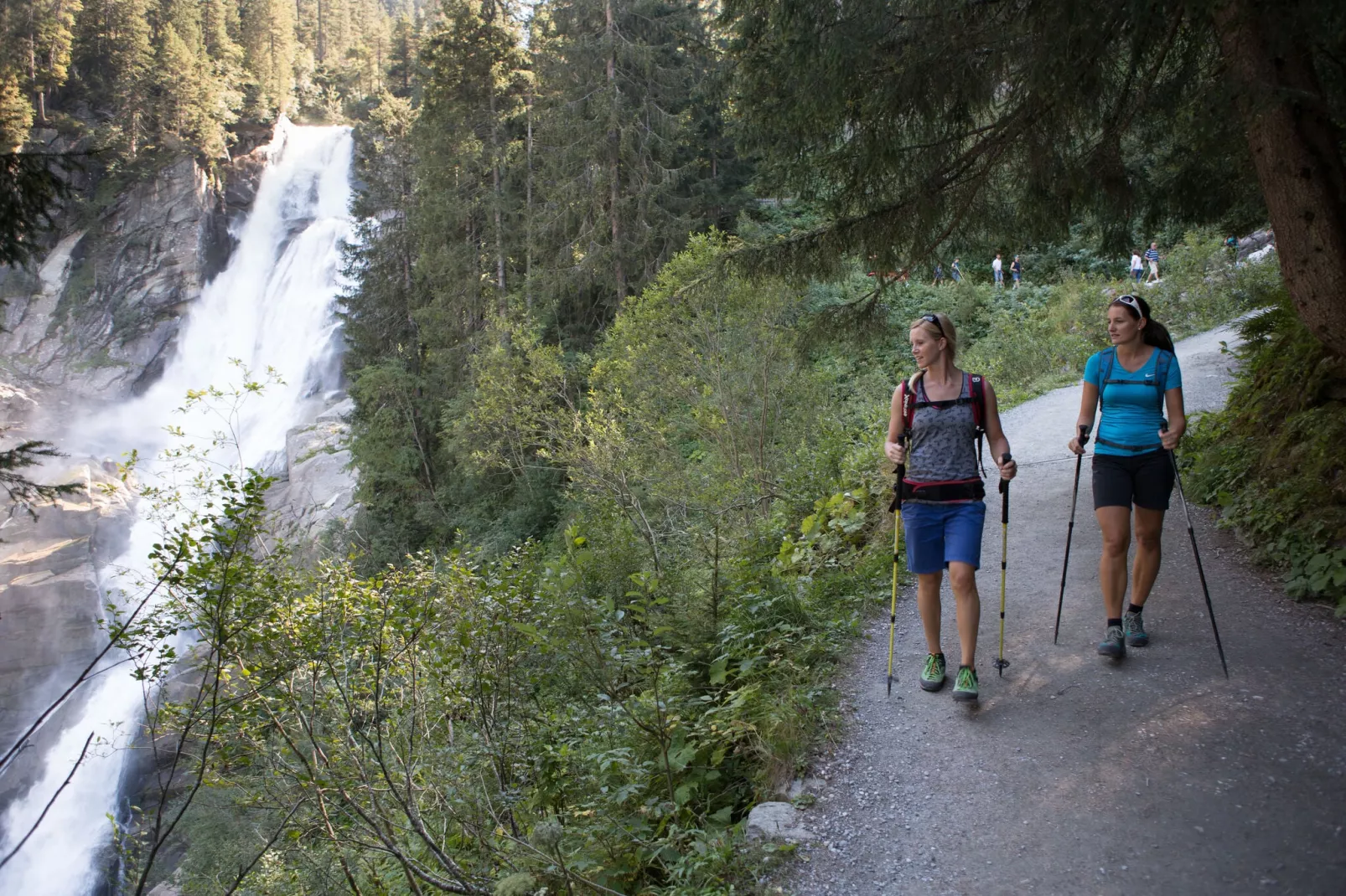 Edenlehen - Plattenkogel-Gebieden zomer 1km