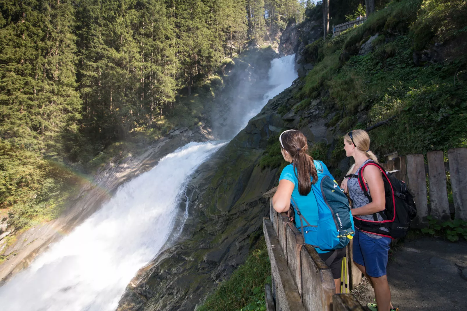 Edenlehen - Plattenkogel-Gebieden zomer 1km