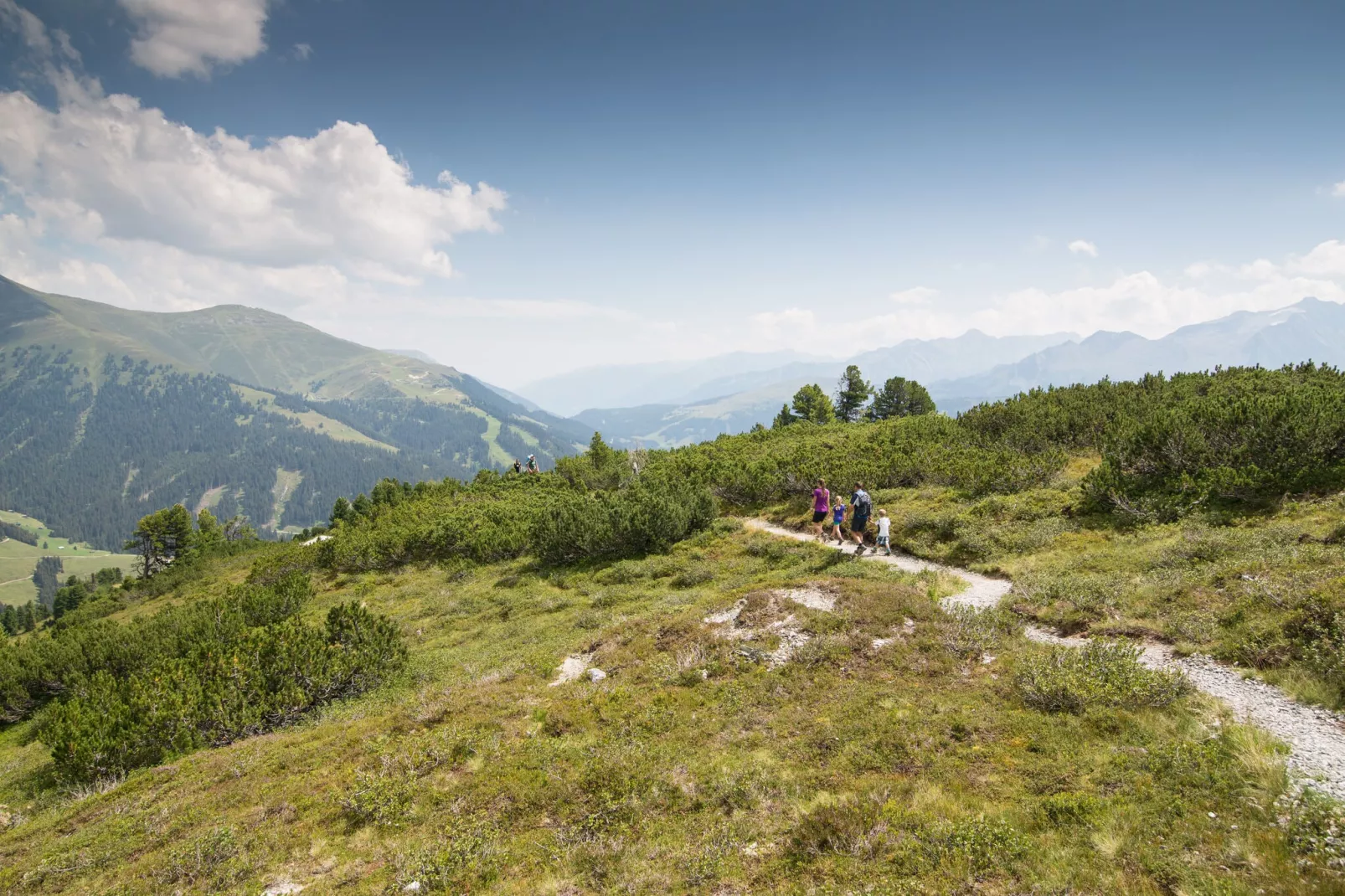 Edenlehen - Plattenkogel-Gebieden zomer 1km