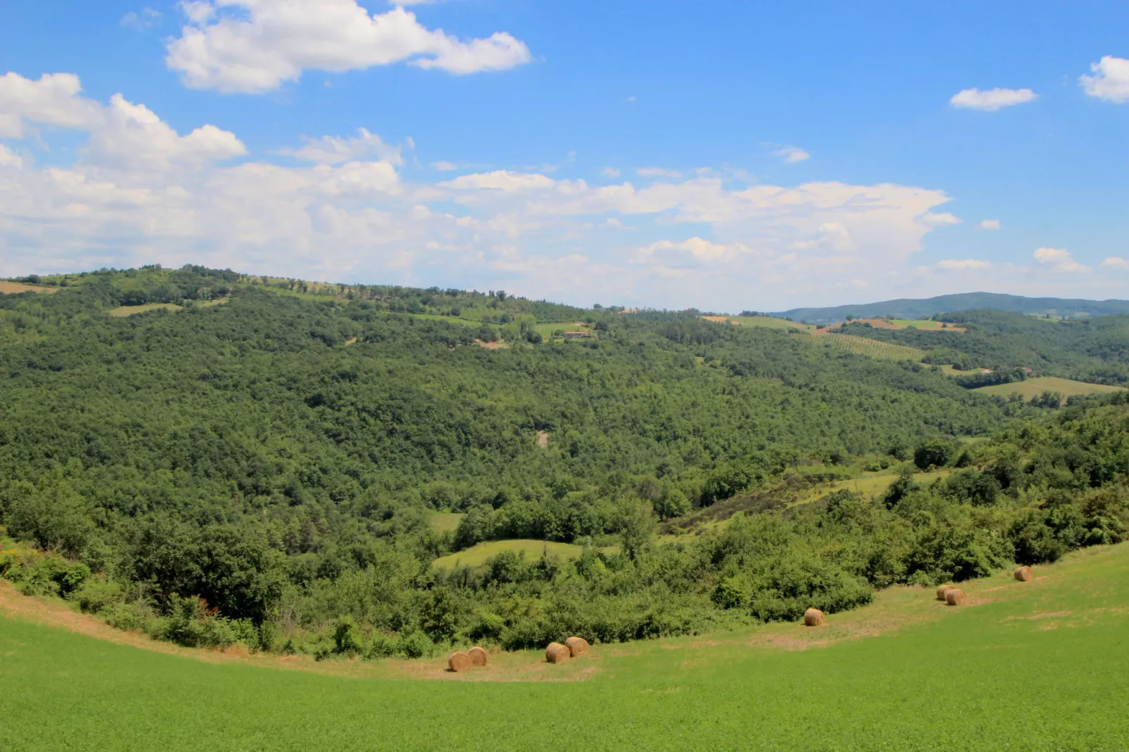 Villa Fiorella Cinque-Gebieden zomer 1km