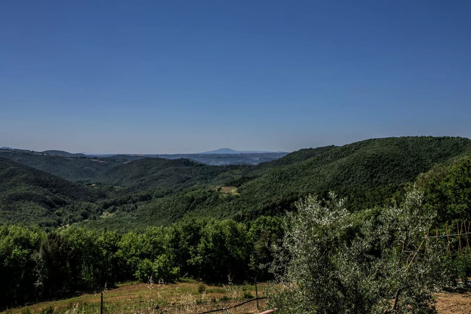 Zafferano-Gebieden zomer 20km