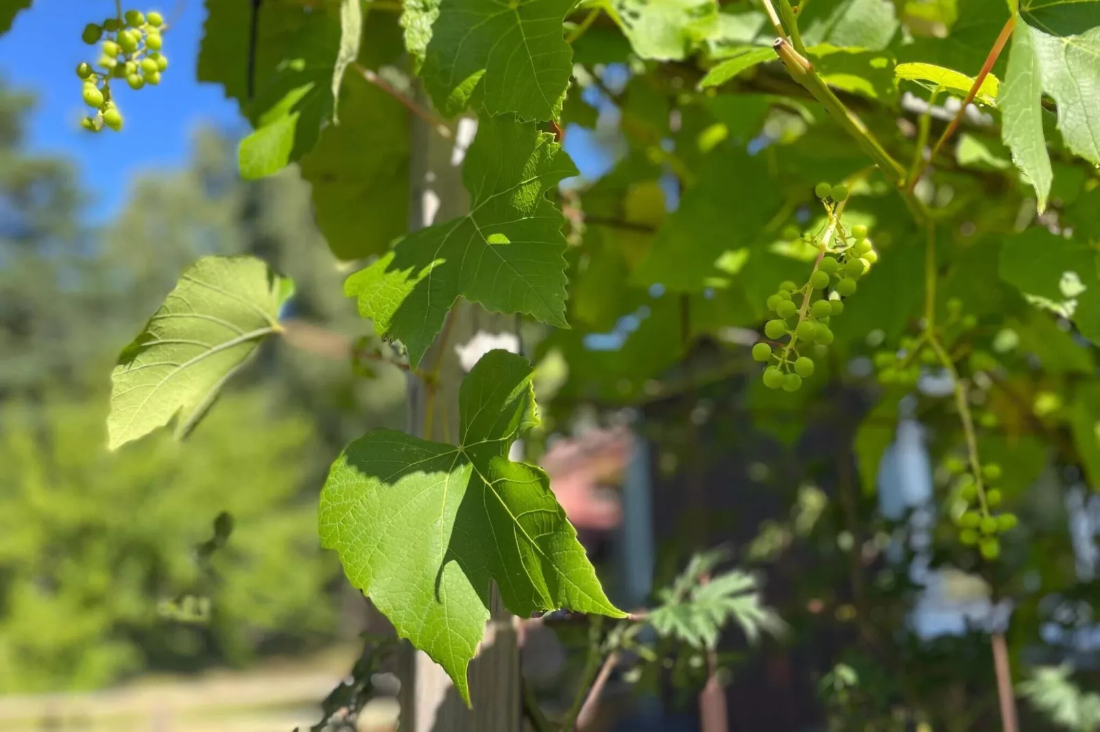 4 persoons vakantie huis in UDDEVALLA-Buitenlucht