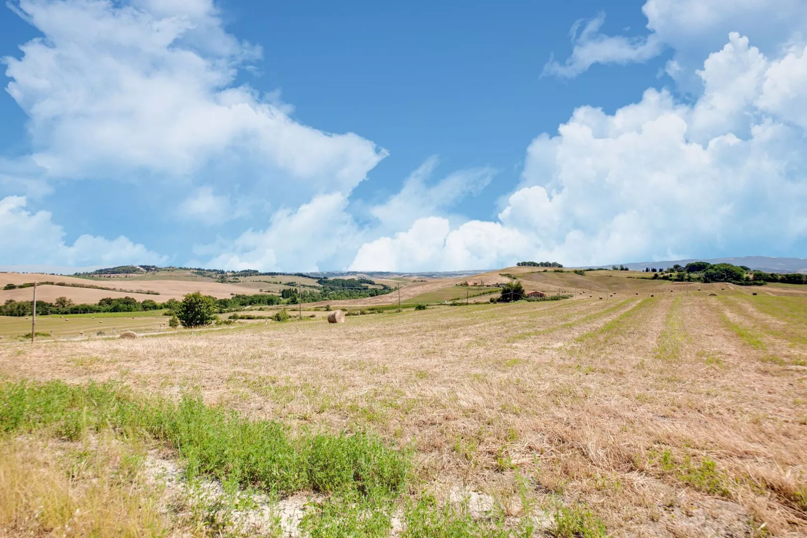 San Francesco Vermentino-Gebieden zomer 1km