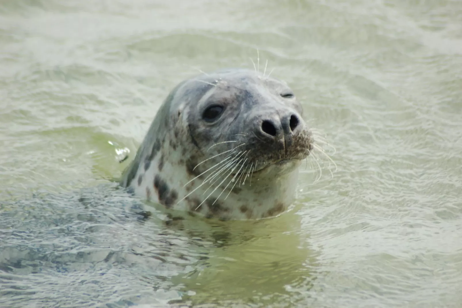 Kustpark Texel 5-Sfeer