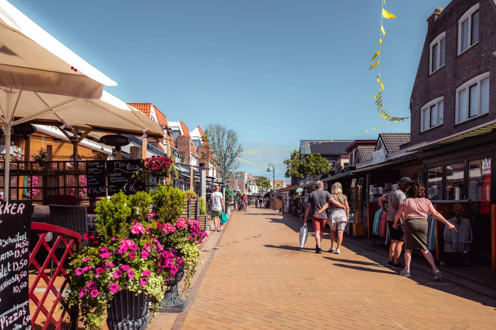 Bosch en Zee 1-Gebieden zomer 1km