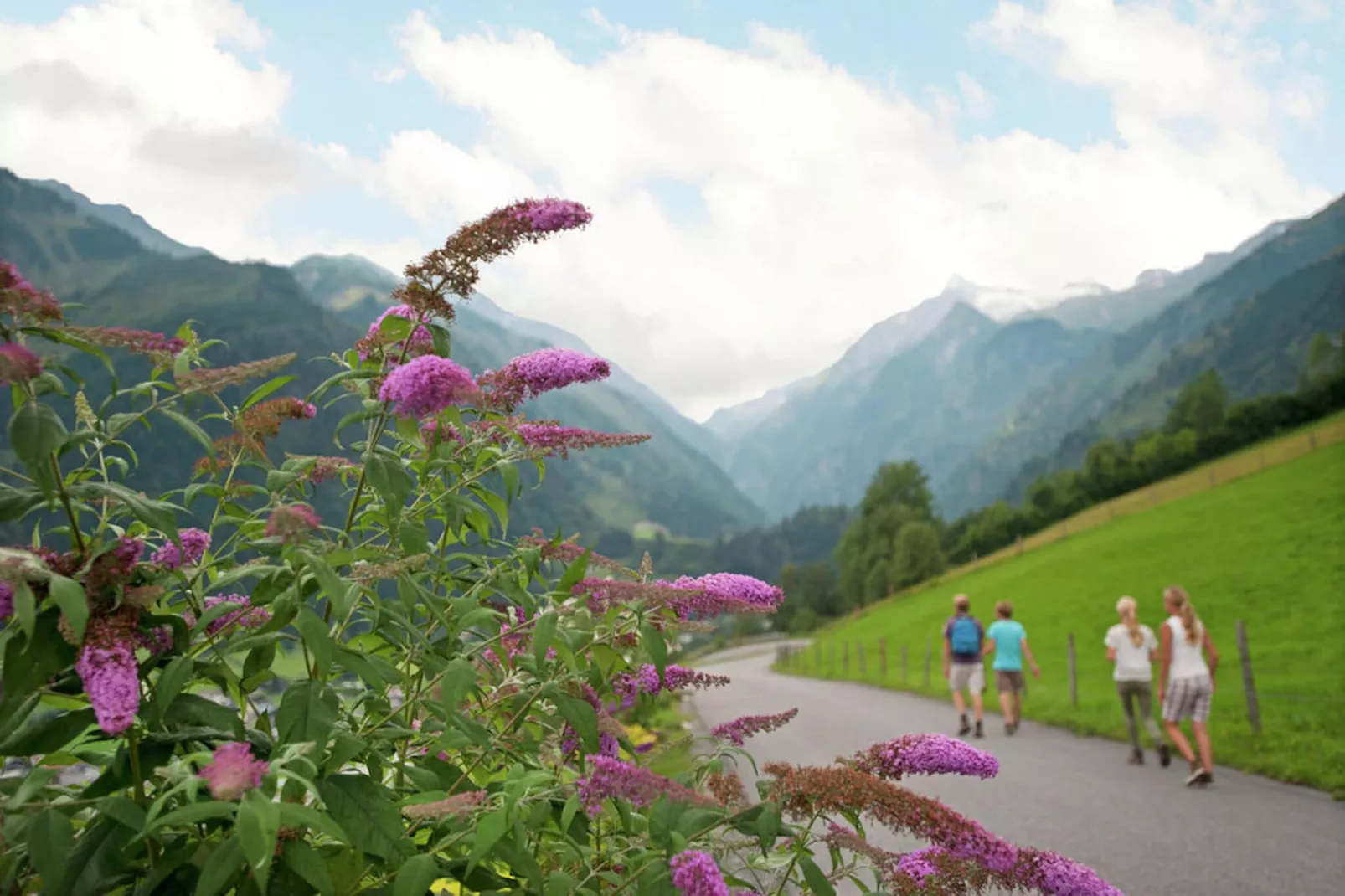 Apartment Oberaigen M-Uitzicht zomer