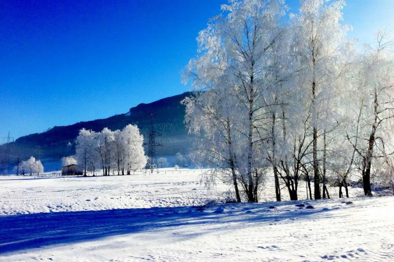 Apartment Oberaigen L-Gebied winter 5km