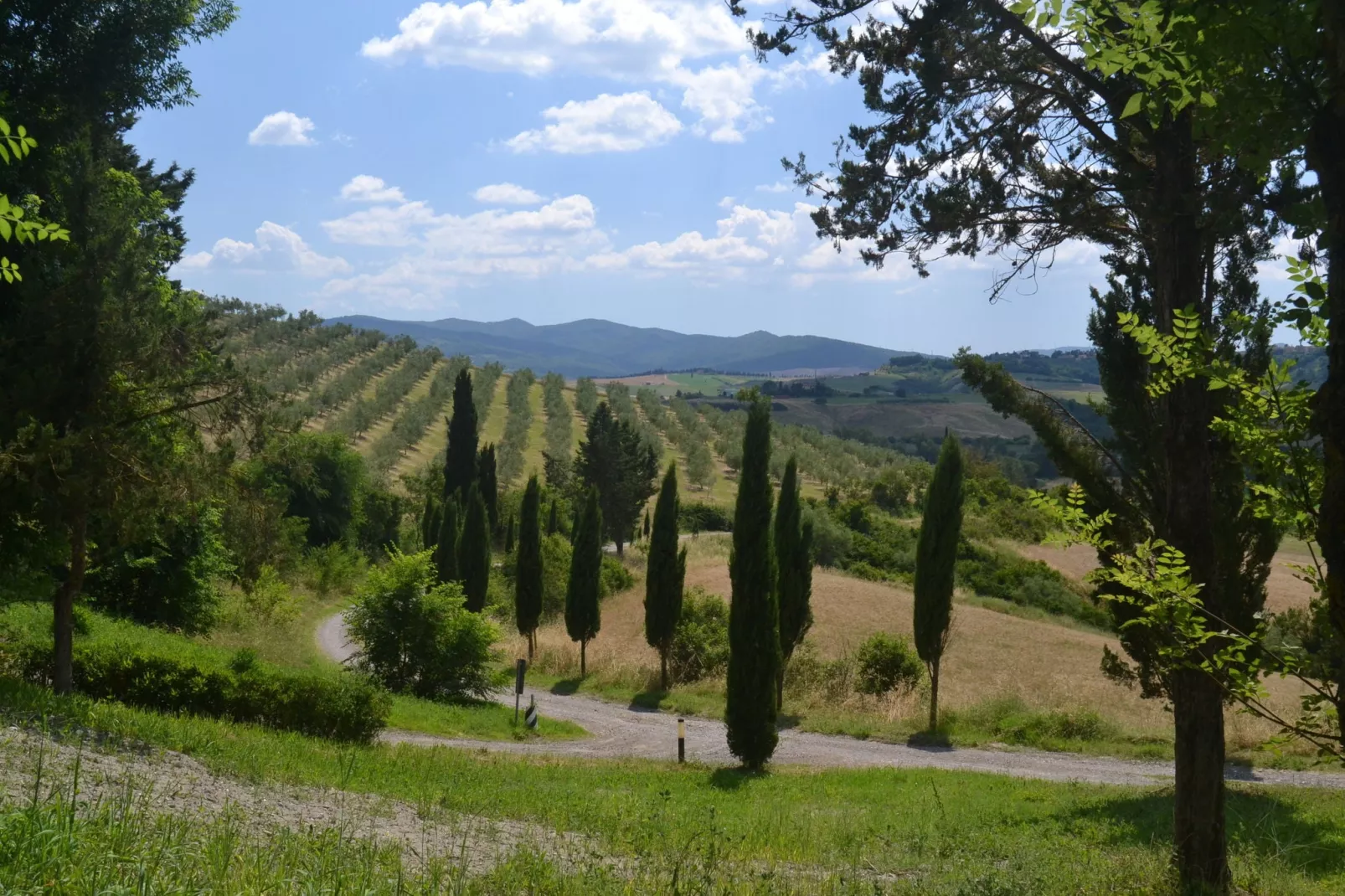 Gatterino-Gebieden zomer 5km