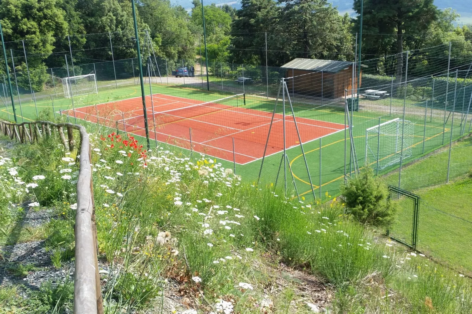 Cennini-Gebieden zomer 1km