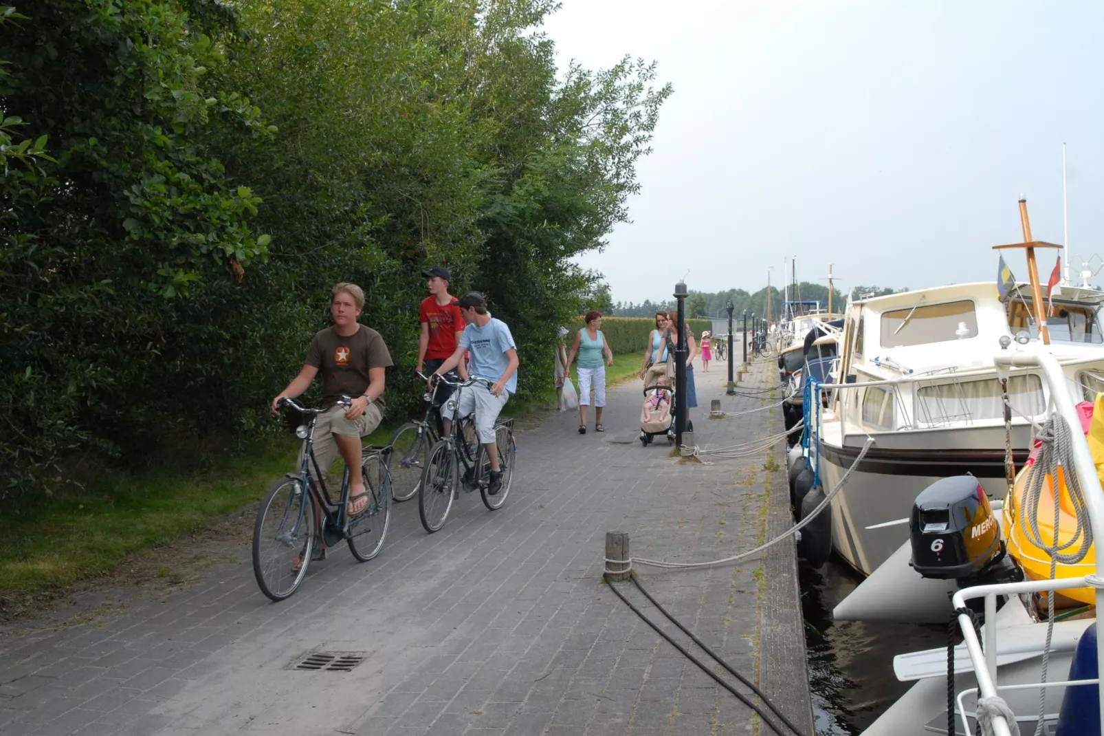 Buitenplaats It Wiid 4-Gebieden zomer 5km