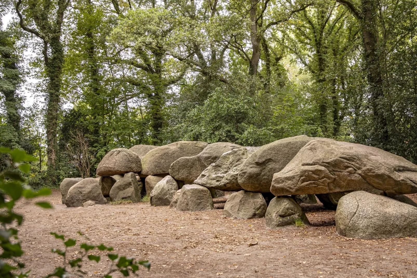 Vakantiepark Hunzedal 15-Gebieden zomer 1km