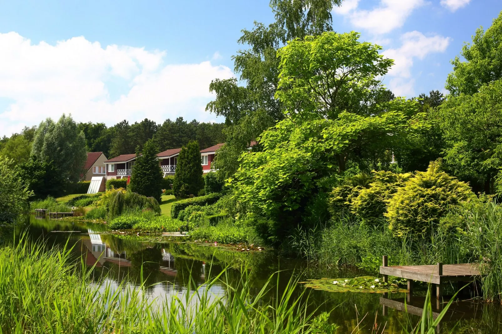 Vakantiepark Emslandermeer 7-Gebieden zomer 1km