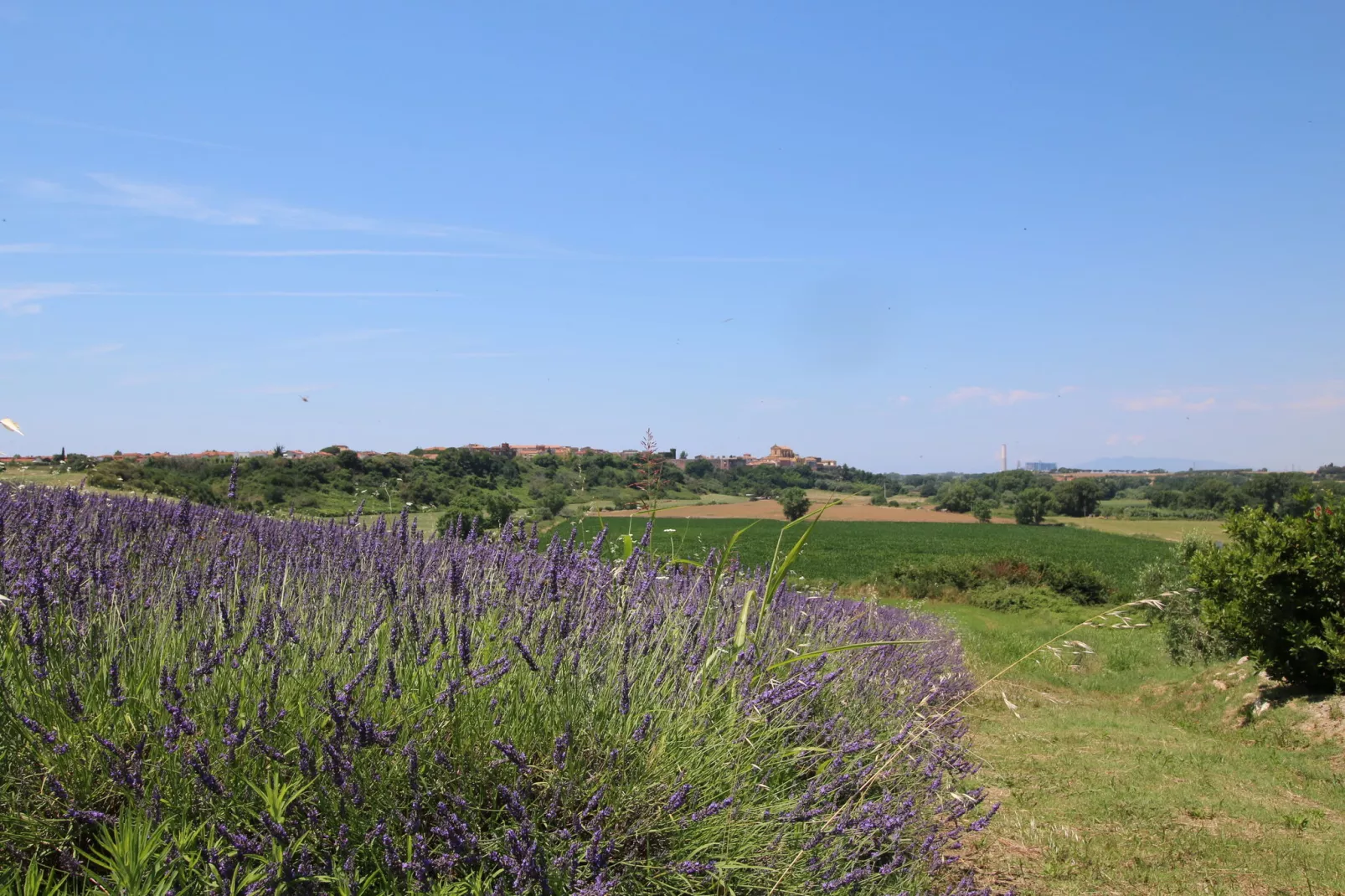 Ginestra-Tuinen zomer