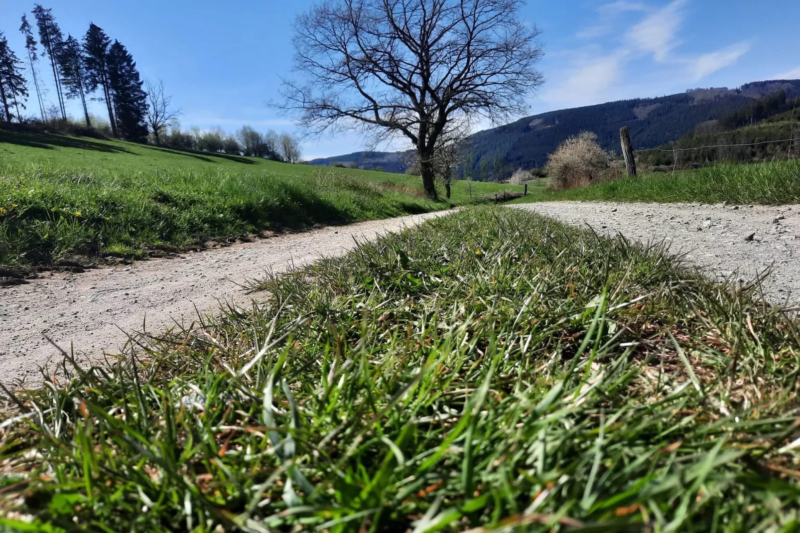 Eslohe-Gebieden zomer 20km