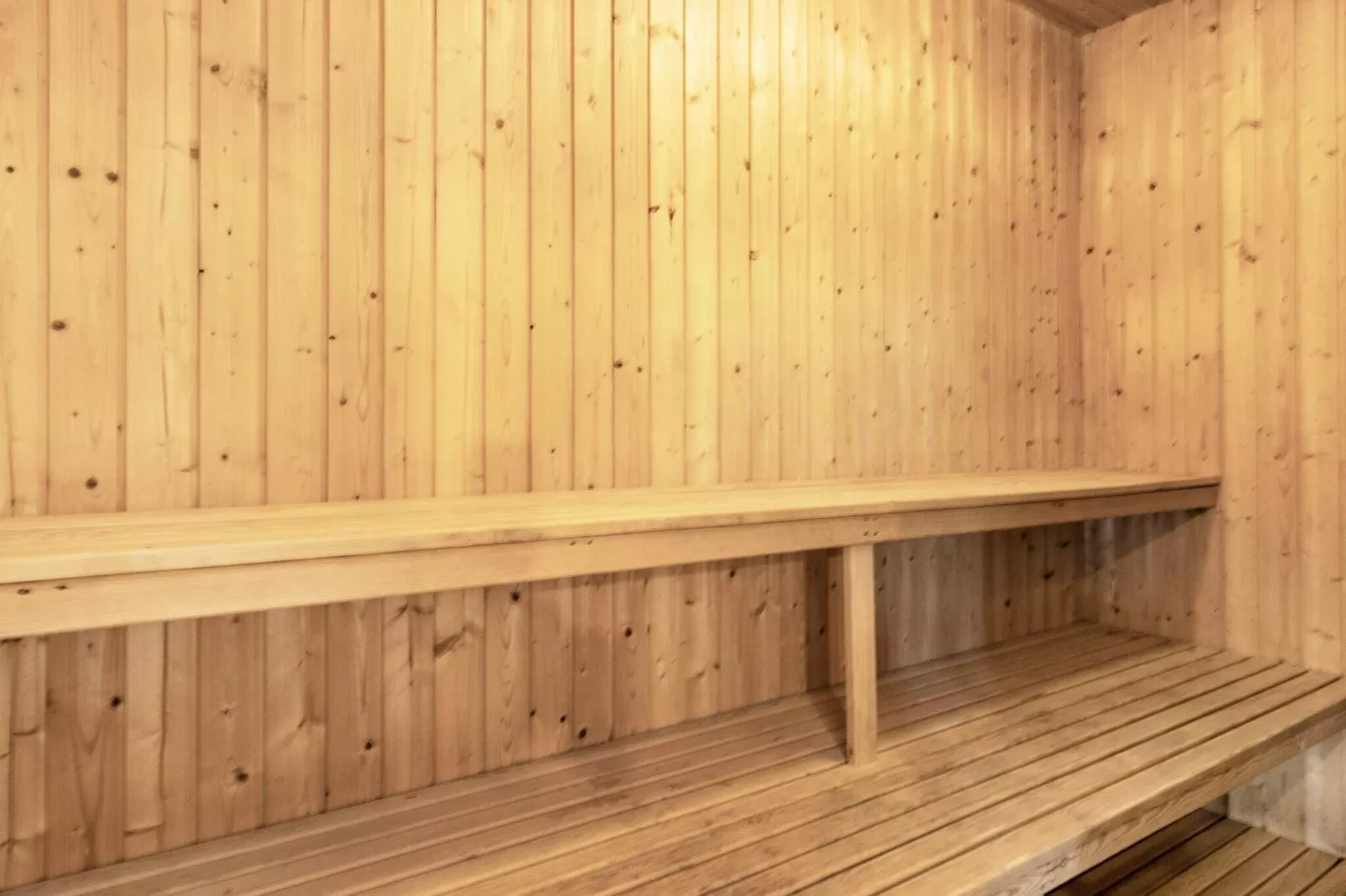 10 persoons vakantie huis in Blåvand-Sauna