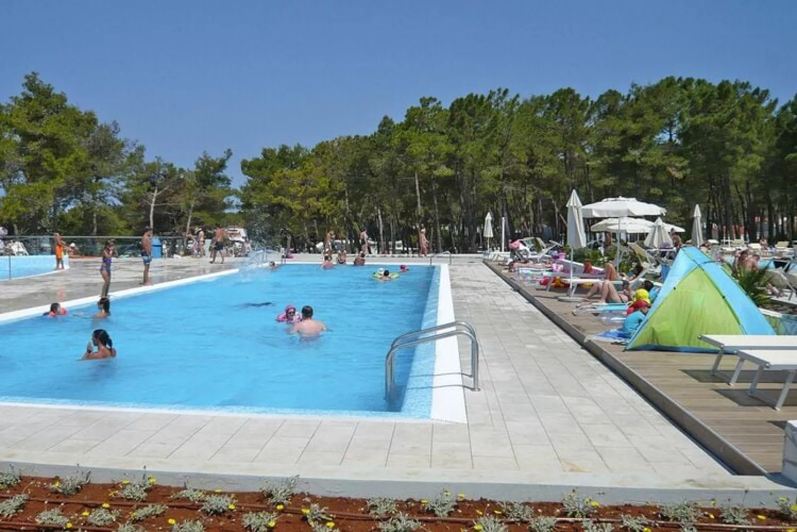 Zaton Holiday Resort - AP/2 Studio Superior 4 Stars 29qm 2-3 Pers-Zwembad