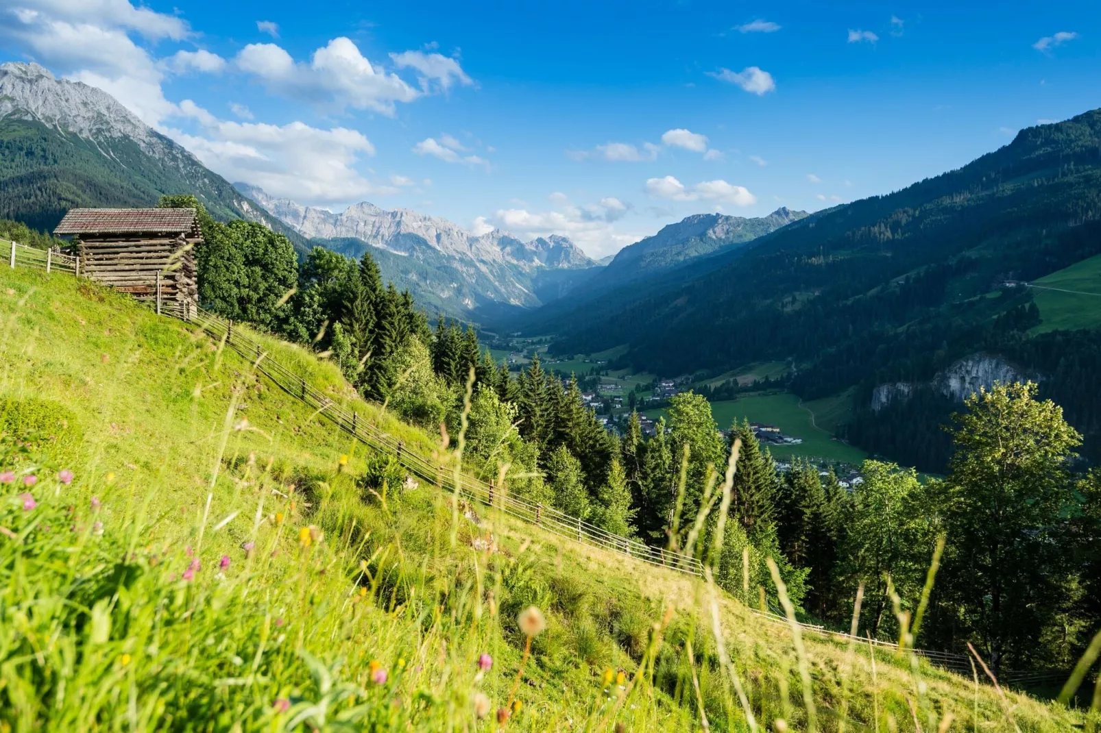 JUCHE FEWO - JÄGERSEE - Haus blau-Gebieden zomer 5km