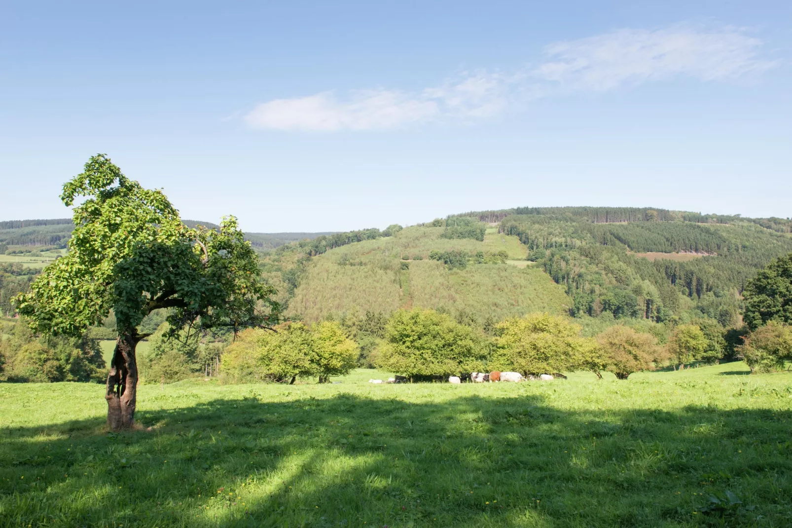 Le Loft-Gebieden zomer 1km