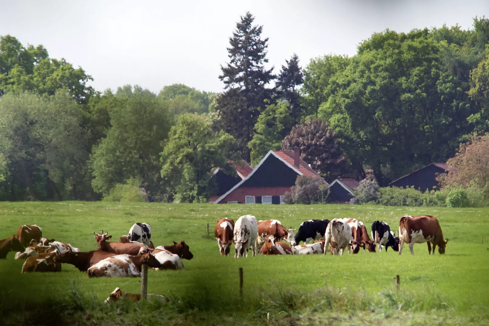 Recreatiepark Het Winkel 1-Gebieden zomer 5km