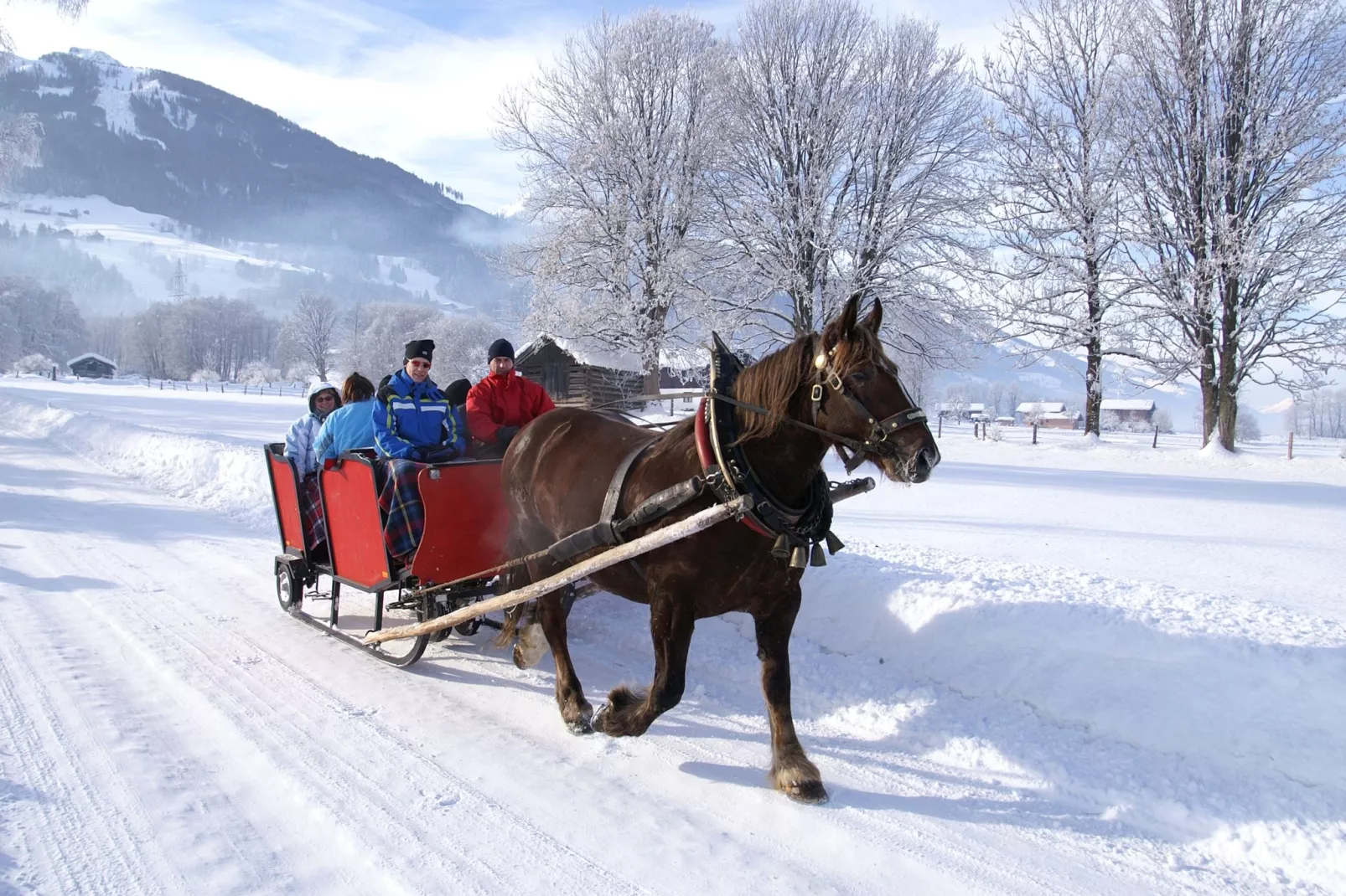 Tauernsuites Mitterwirt 2-Gebied winter 20km