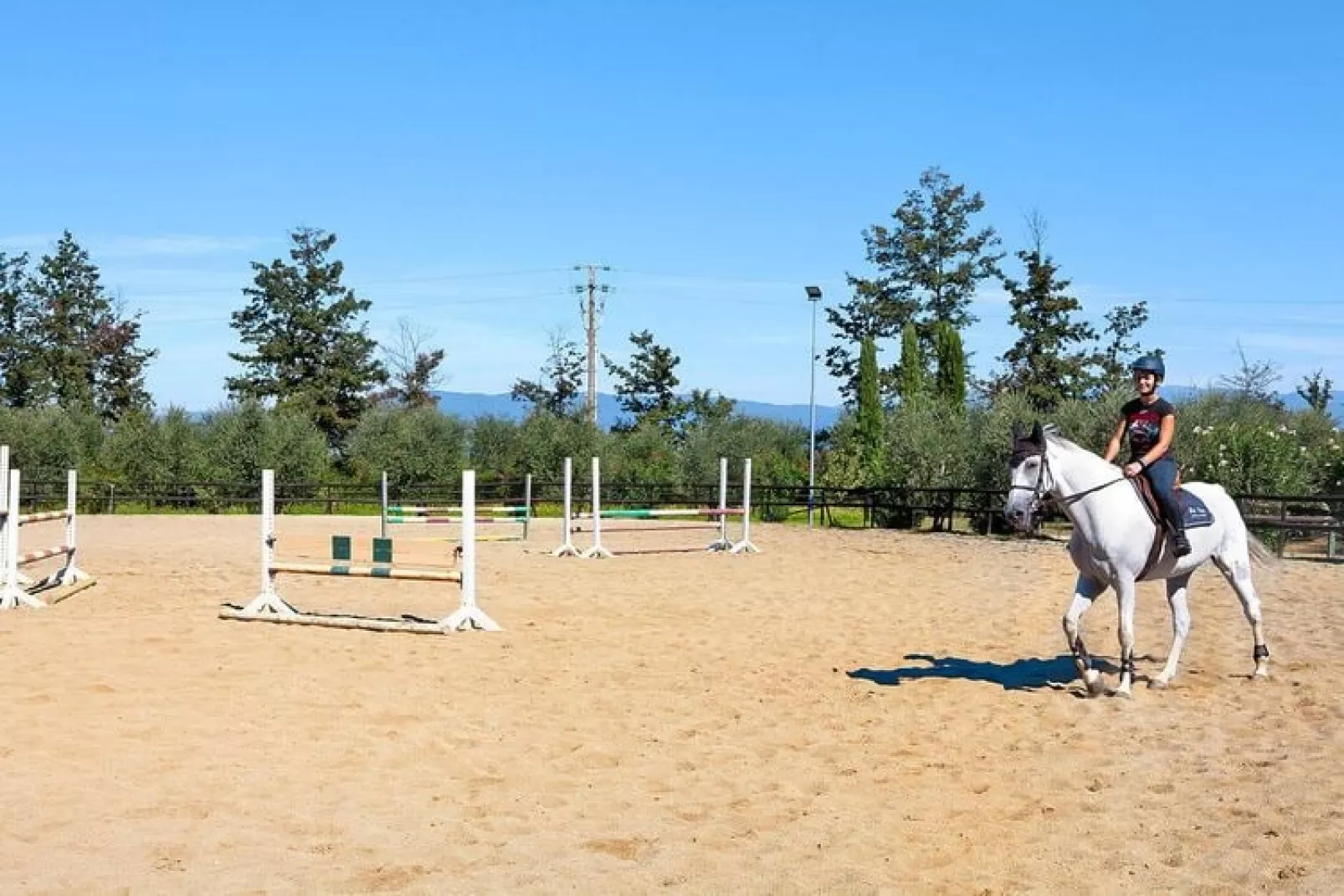 Agri-tourism Borgo Pinete, Pinete Fucecchio-Trilo, Typ 4, 1-6 Pax-Buitenkant zomer