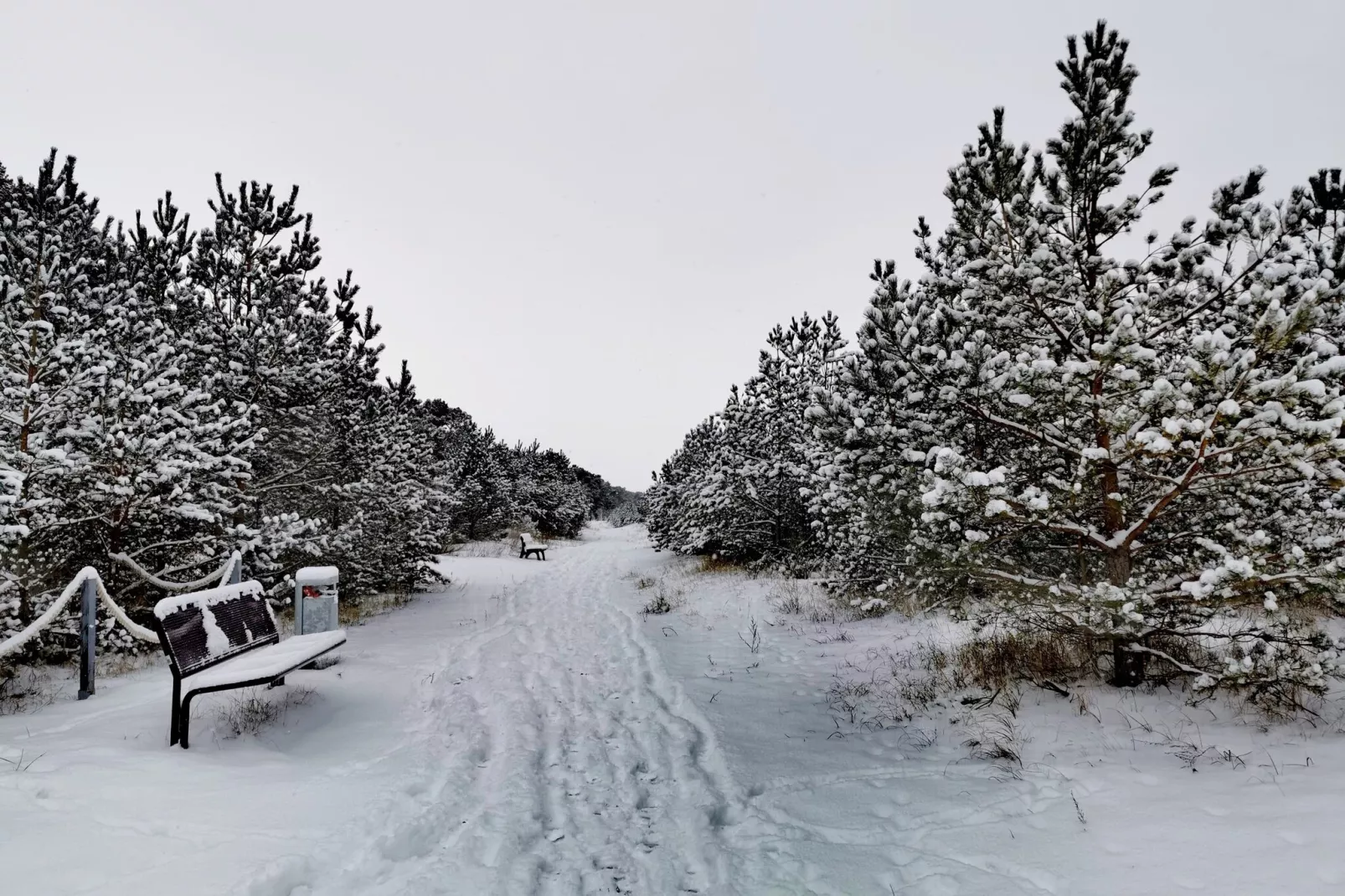 Ferienwohnung Rügenblick-Gebied winter 20km