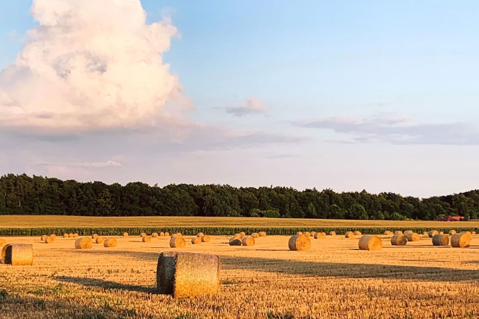 Seeblick 105 qm / 1-6 Personen-Gebieden zomer 5km