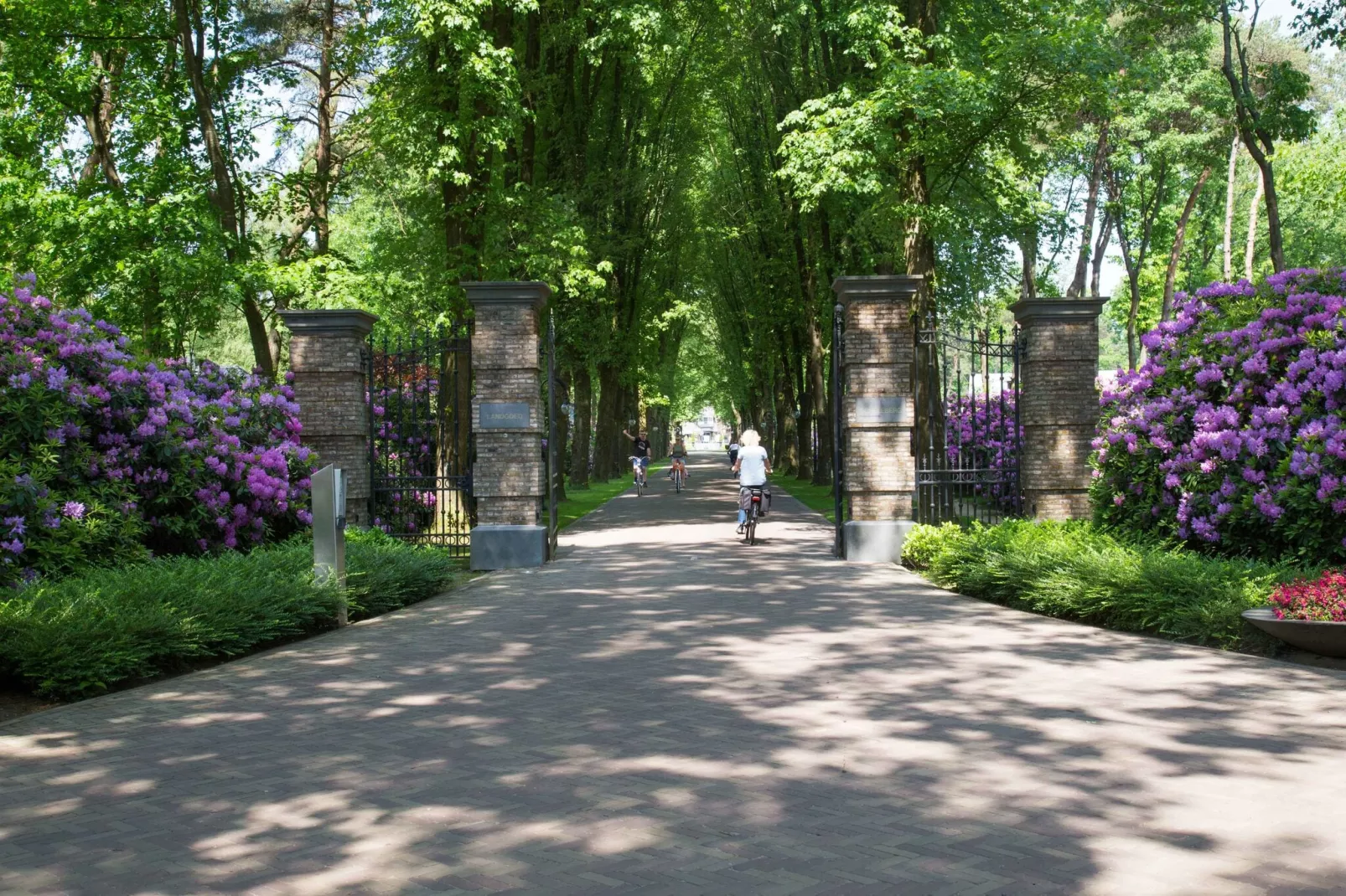 Landgoed De Scheleberg 33-Gebieden zomer 1km