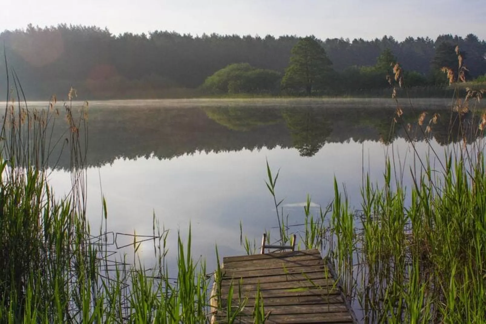 Doppelhaus Seestern-Gebieden zomer 1km