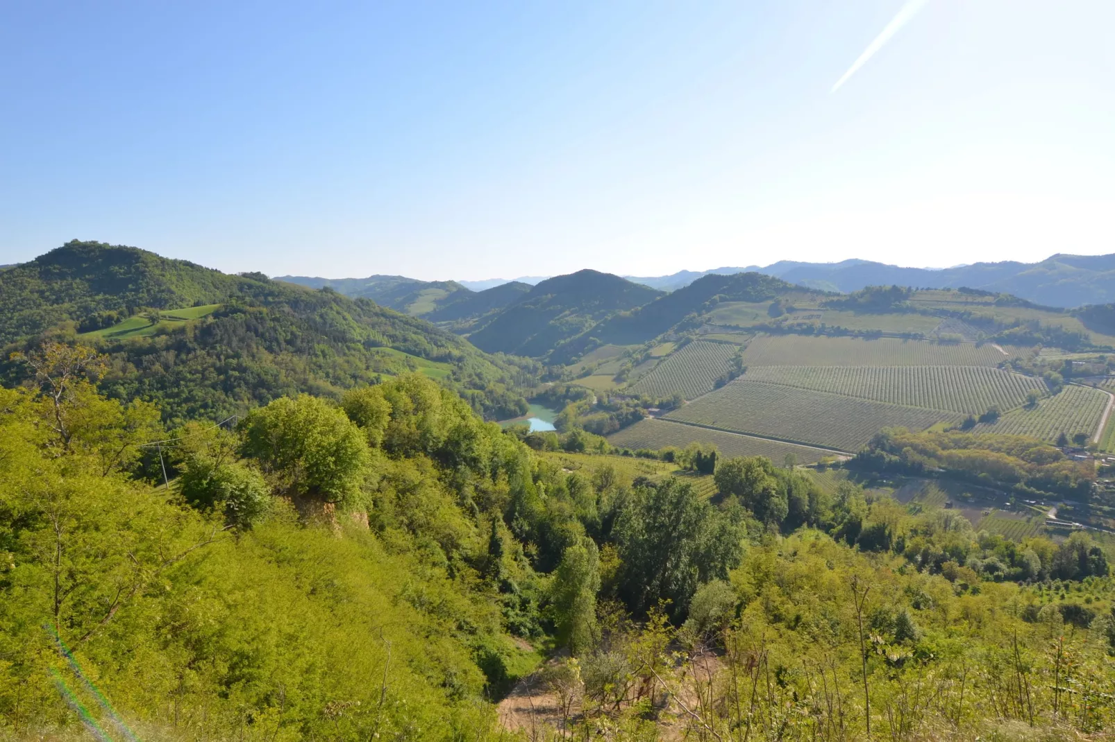 Appartamento Le Rondini-Uitzicht zomer