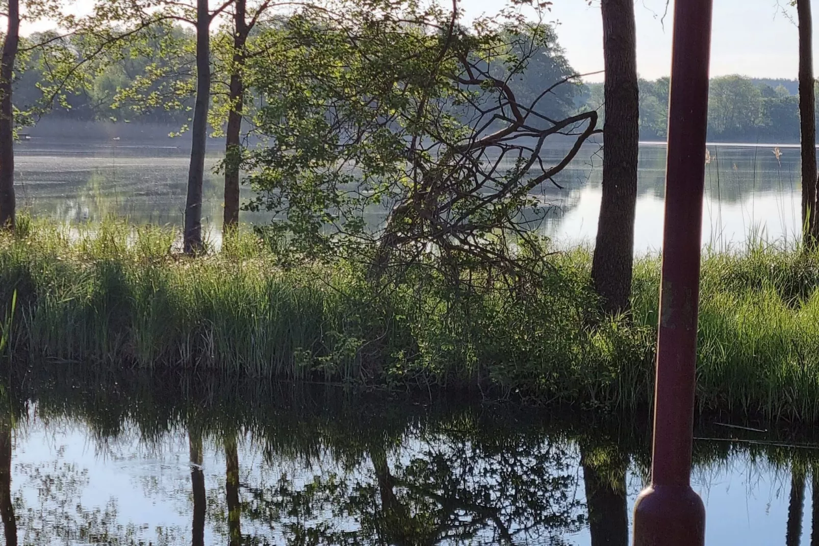 Reihenbungalow Nr 6 1-2 Personen-Gebieden zomer 1km