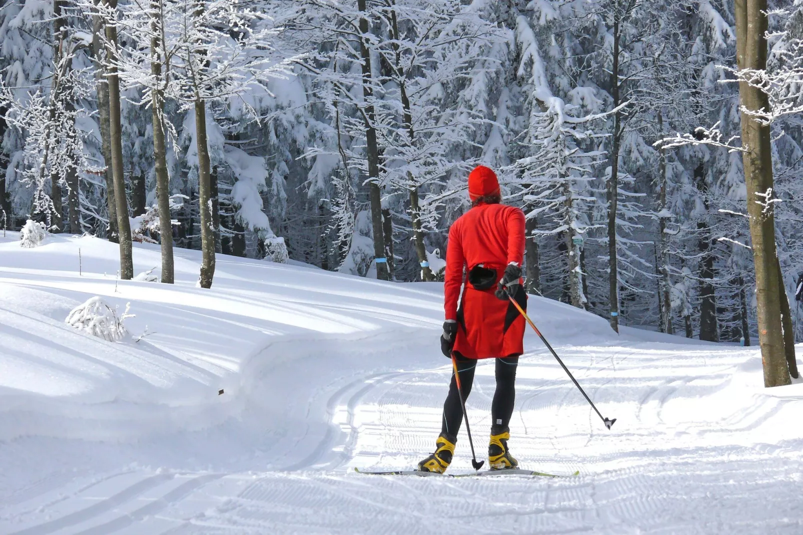 Appartement Bernhard Typ A Standard-Gebied winter 1km