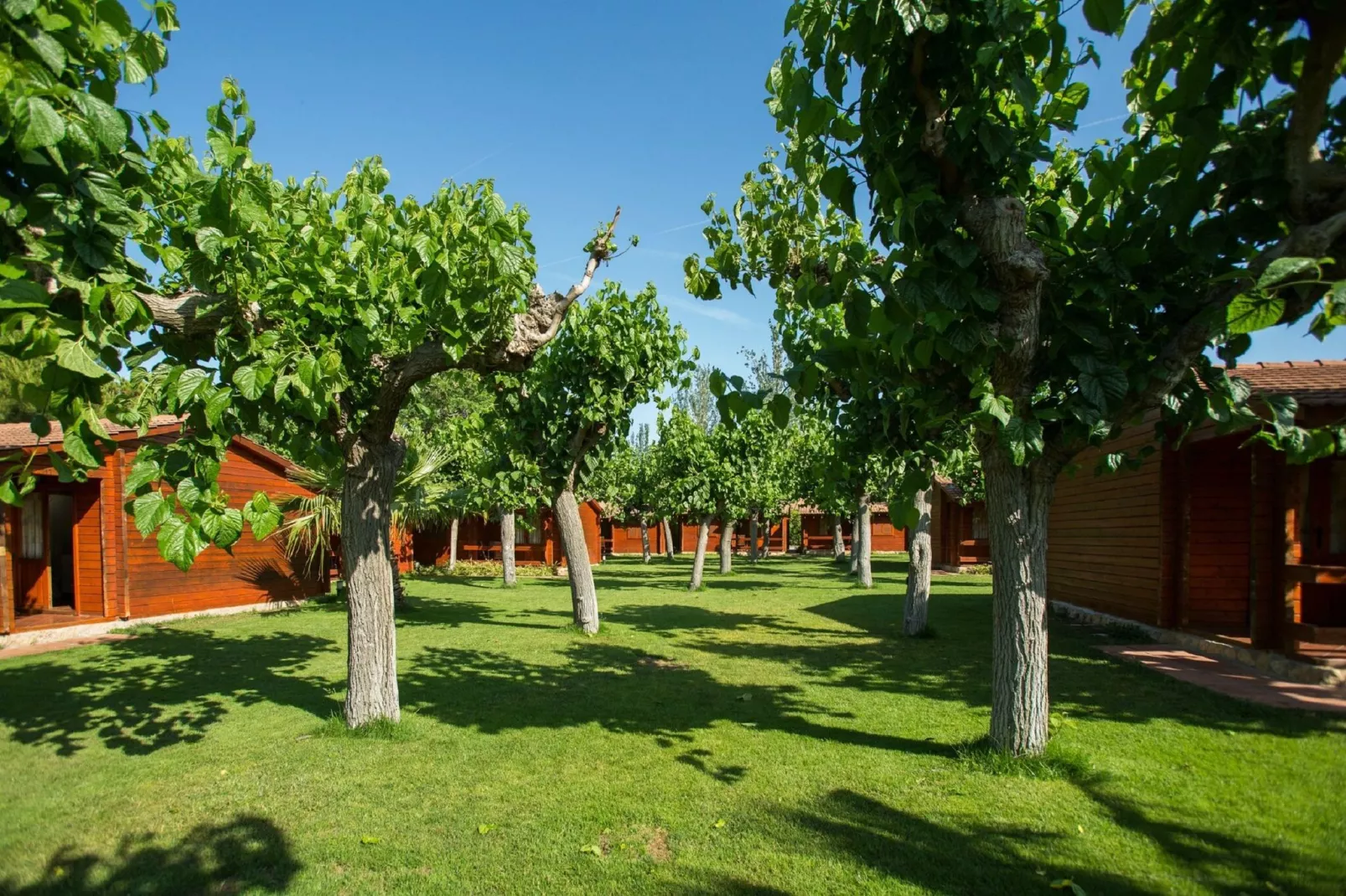 La Llosa Ponent-Buitenkant zomer