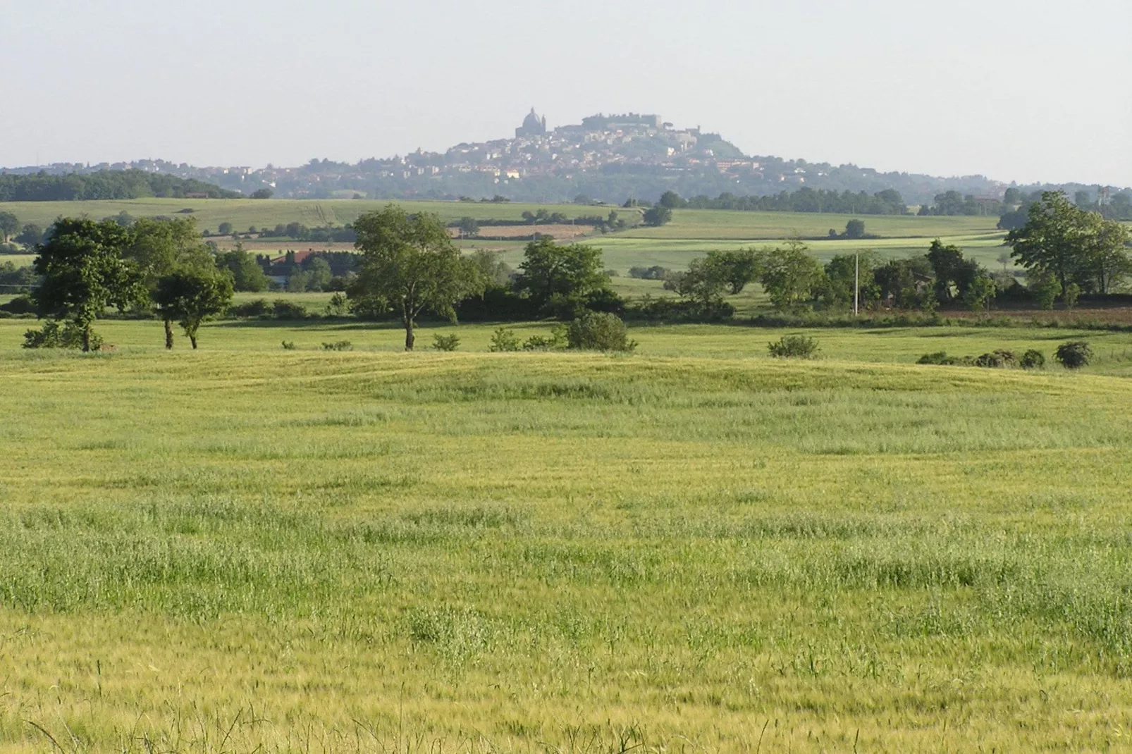 Bagnoregio 12-Gebieden zomer 1km