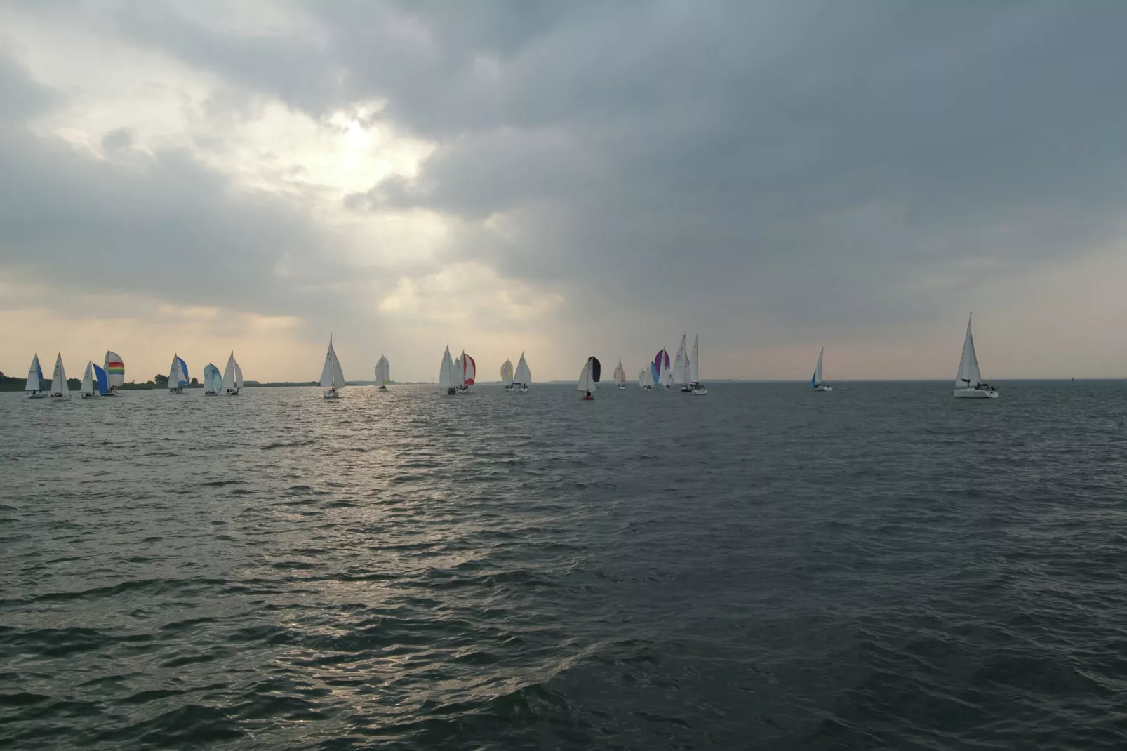 Villapark De Oesterbaai 48-Gebieden zomer 1km