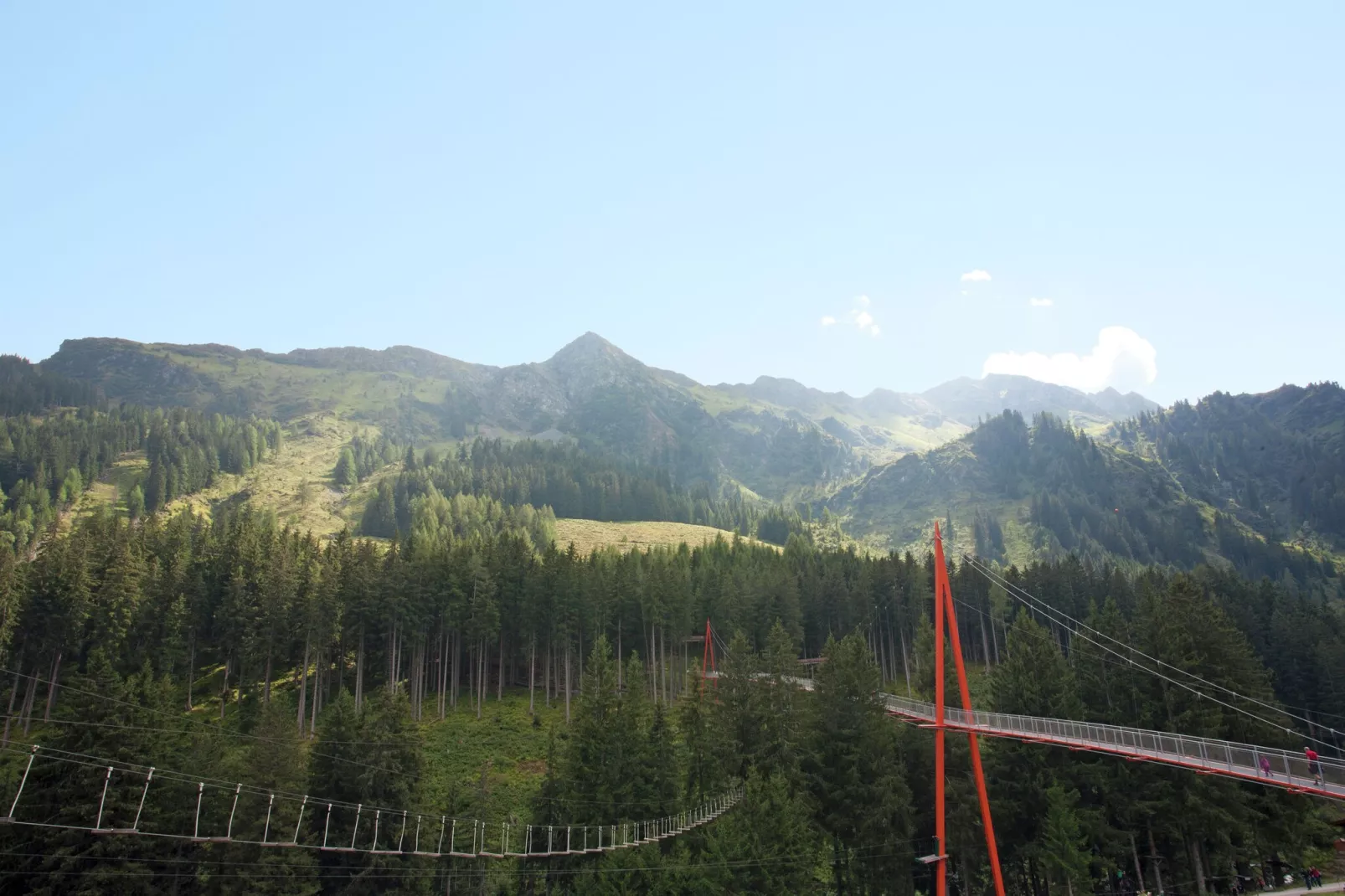 Chalet Saalach-Uitzicht zomer