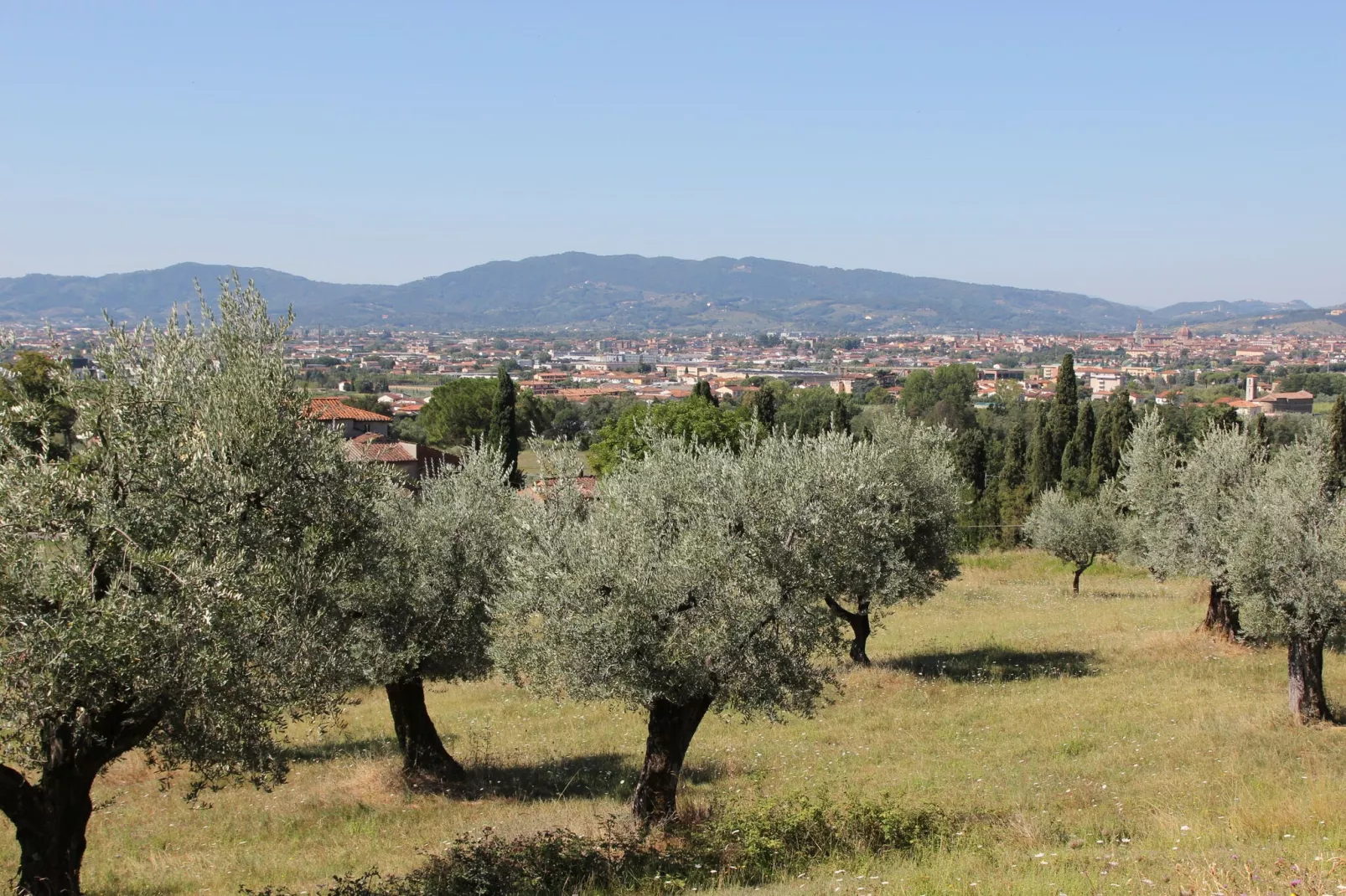 Villa il Brio x 9-Buitenkant zomer