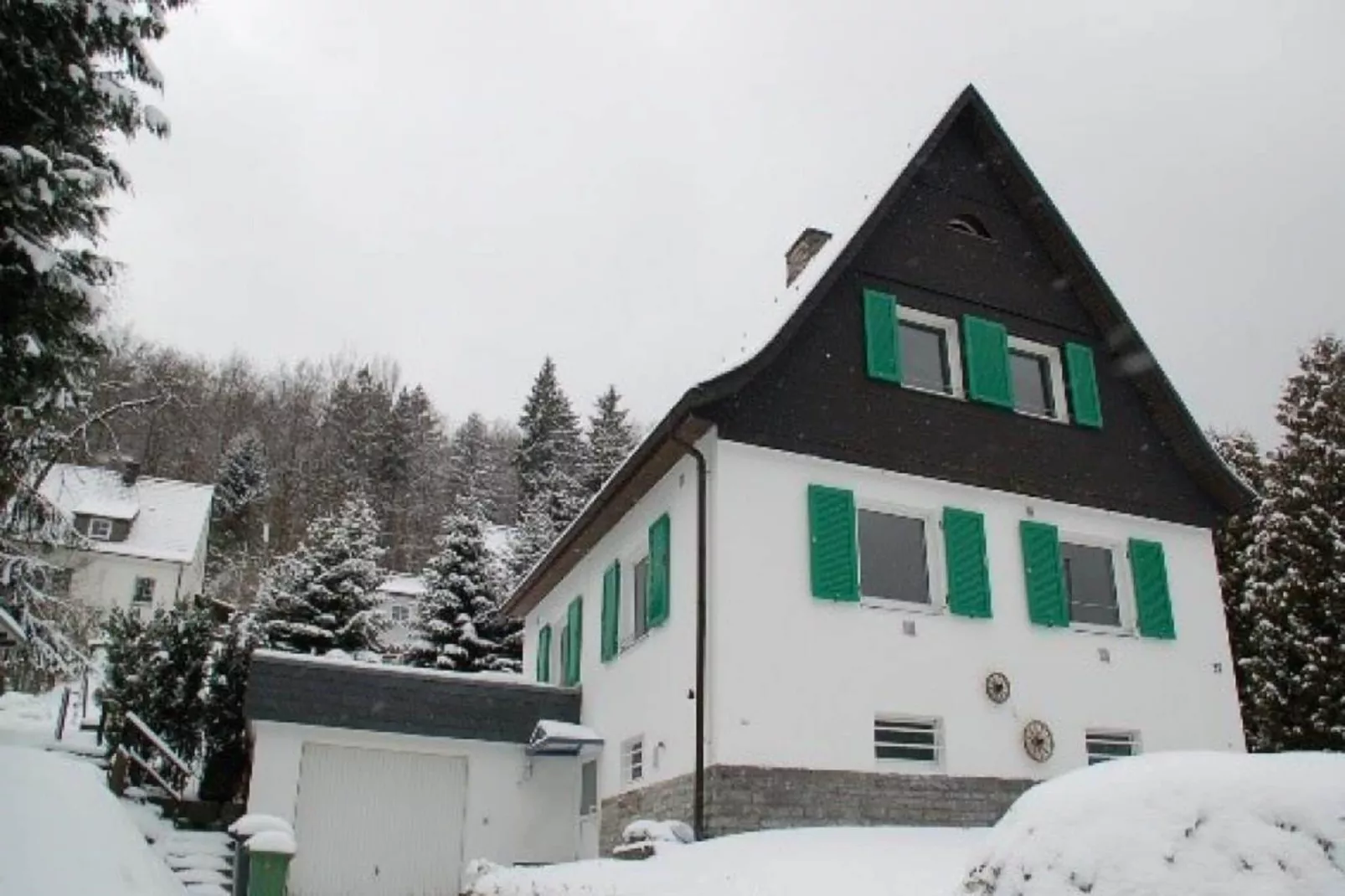 Ferienhaus Brilon-Exterieur winter