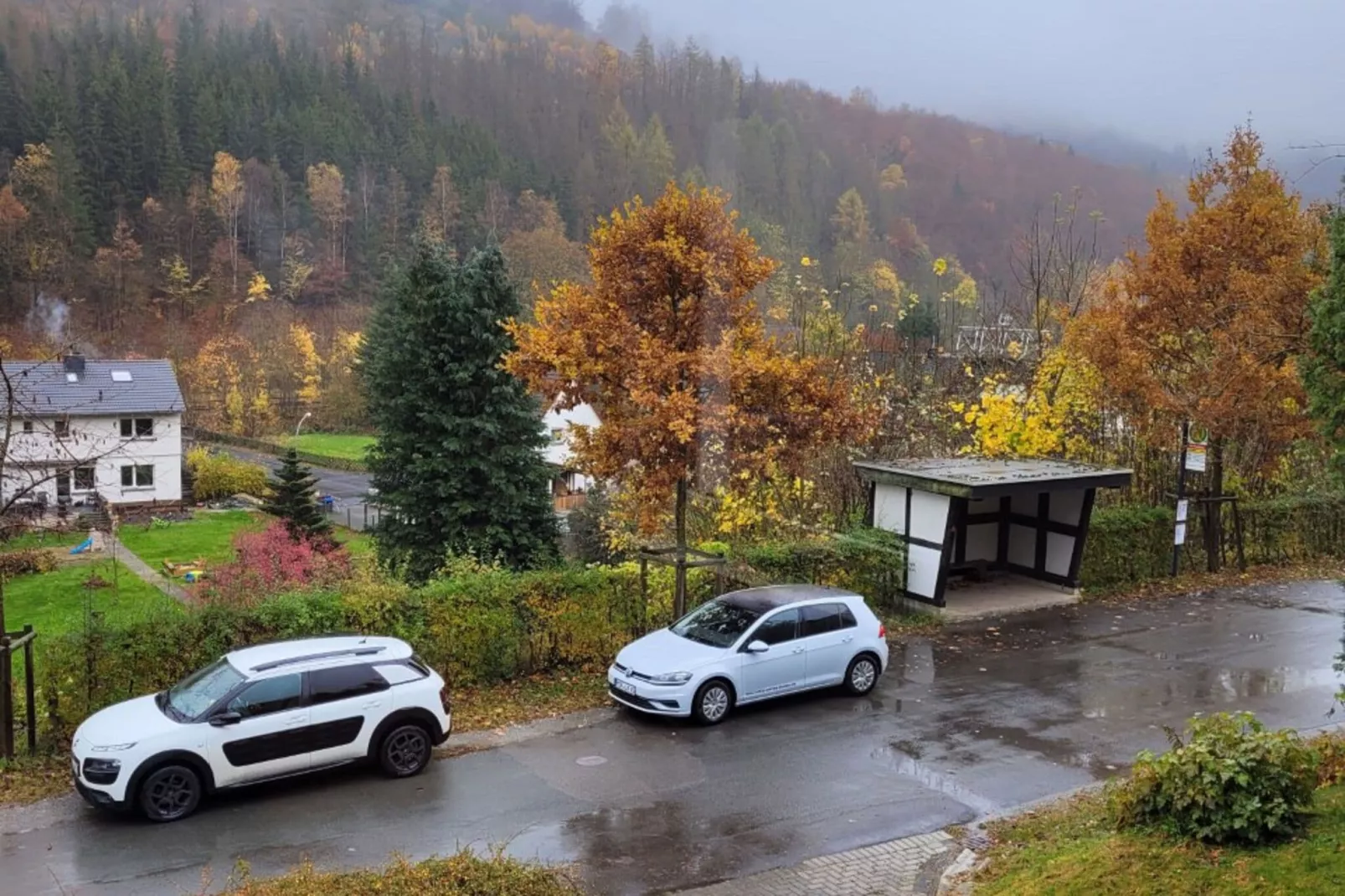 Ferienhaus Brilon-Uitzicht zomer