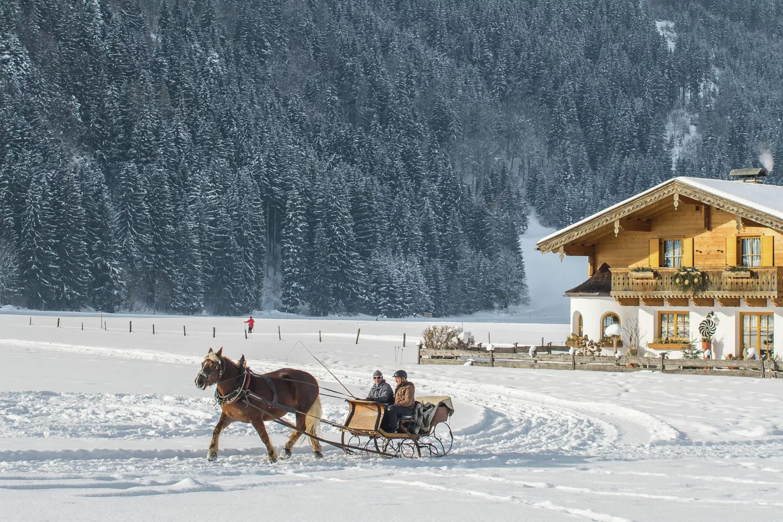 Residenz Glemmerblick-Gebied winter 5km