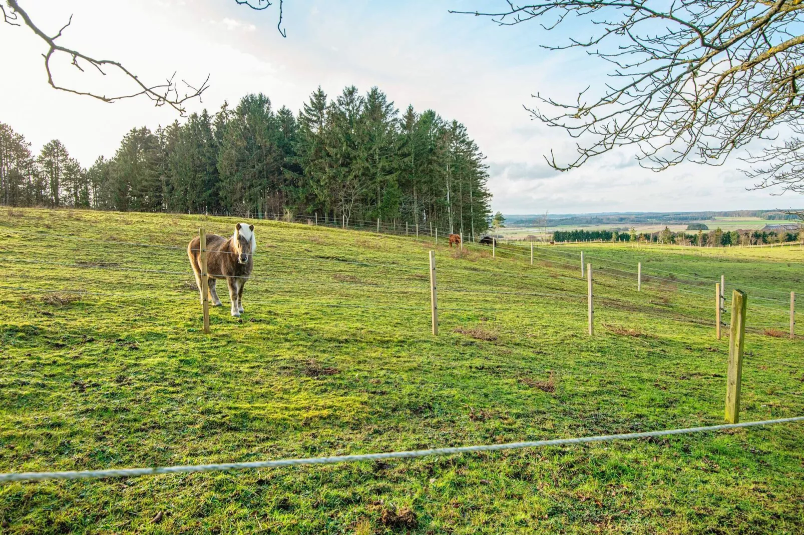 6 persoons vakantie huis in Glesborg-Uitzicht