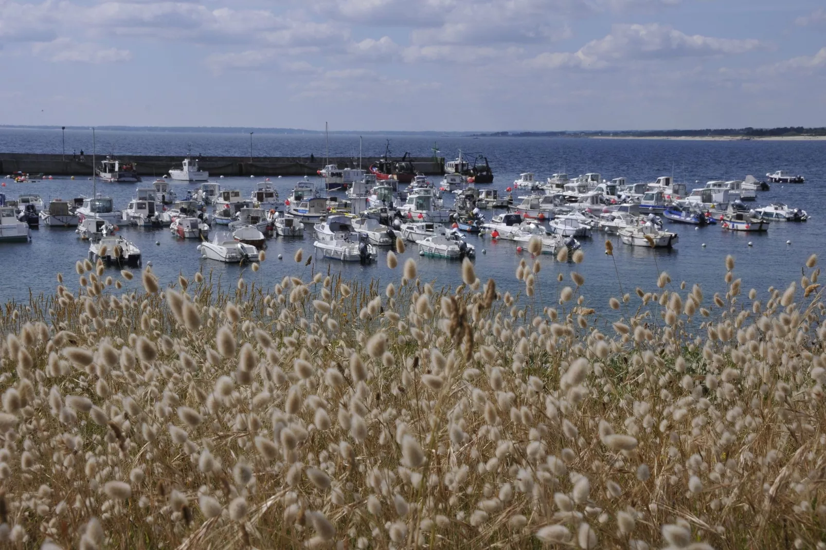 Maison de vacances - QUERRIEN-Gebieden zomer 20km