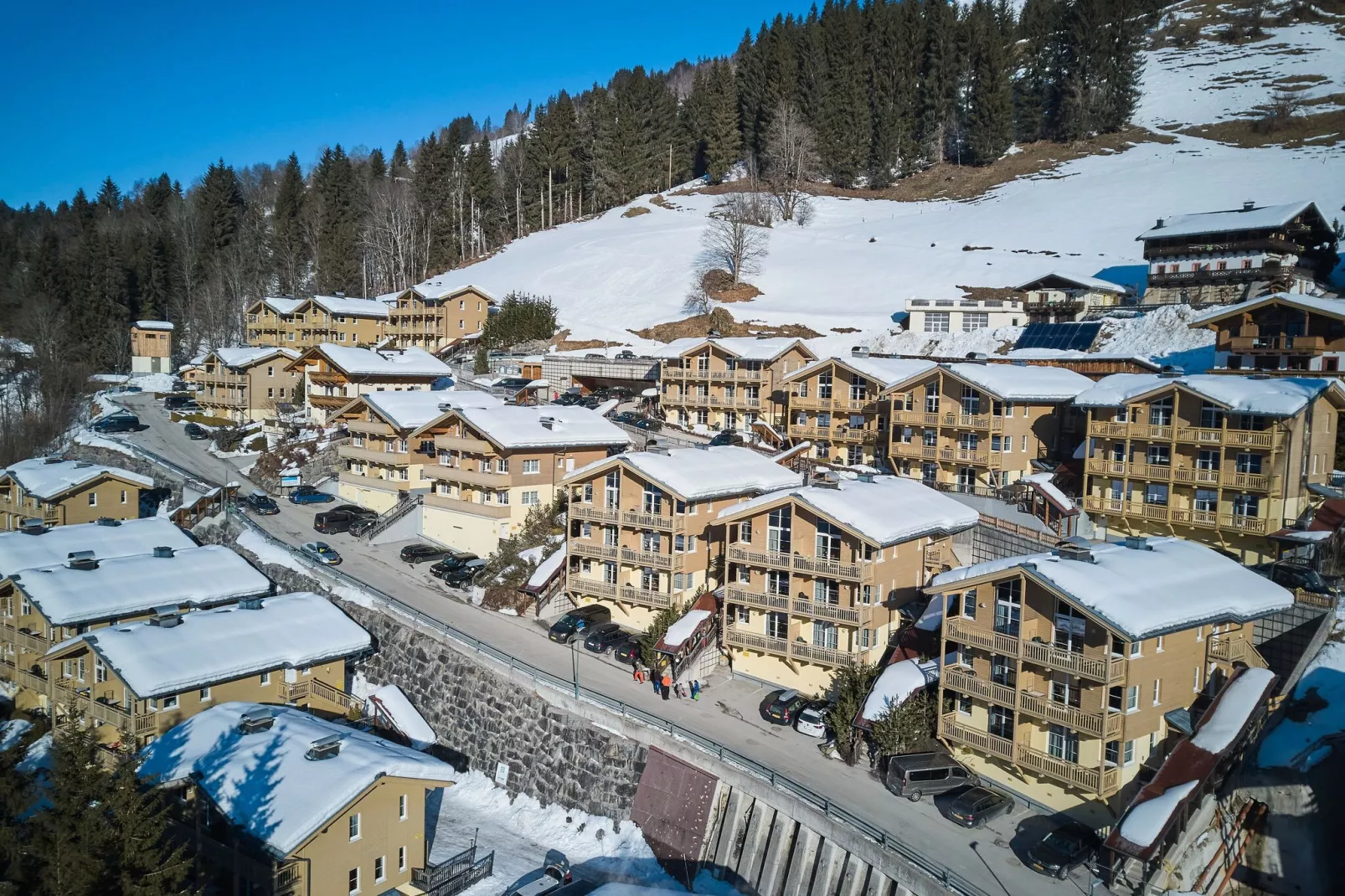 Alpine Apartment Superior-Exterieur winter