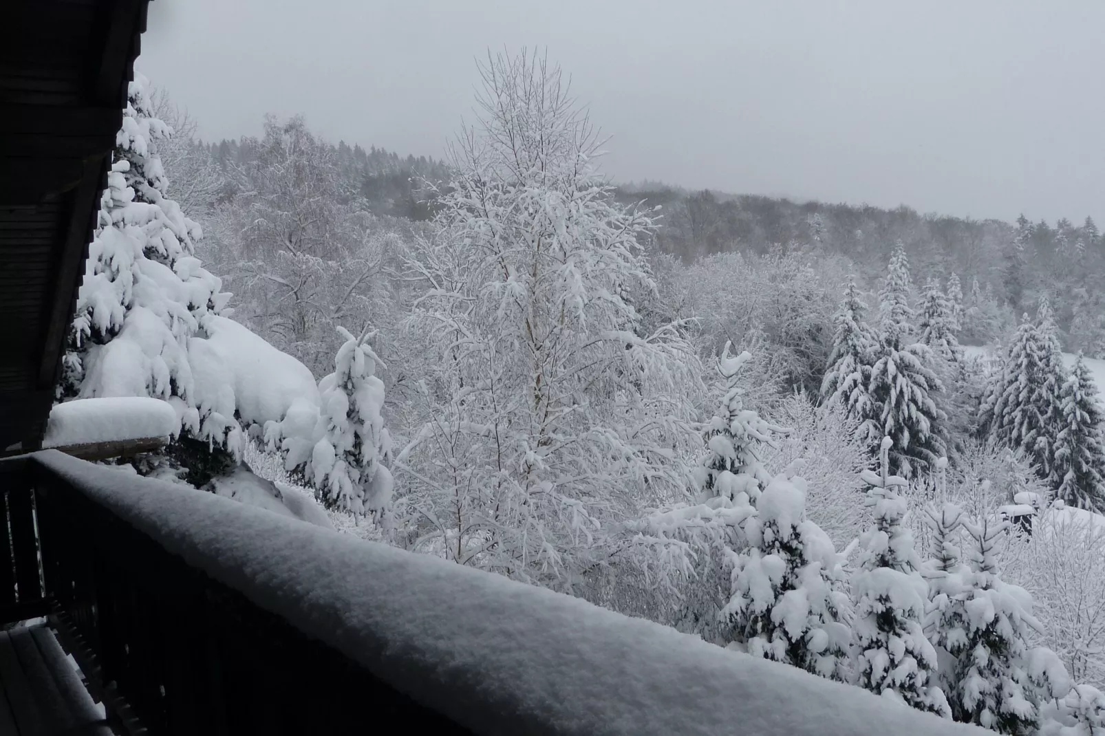 Ferienwohnung Zenting-Uitzicht winter