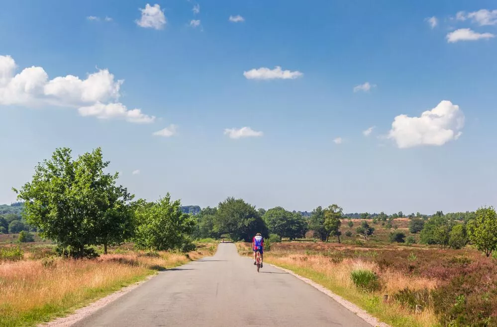 De leukste campings in Overijssel